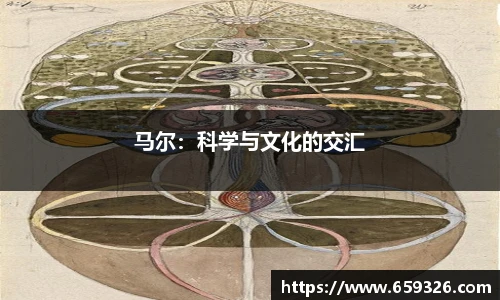 悟空体育官网版